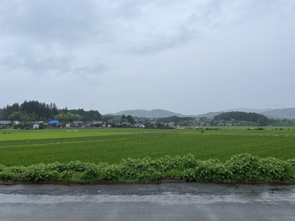 お家の前に広がる美しい田園風景